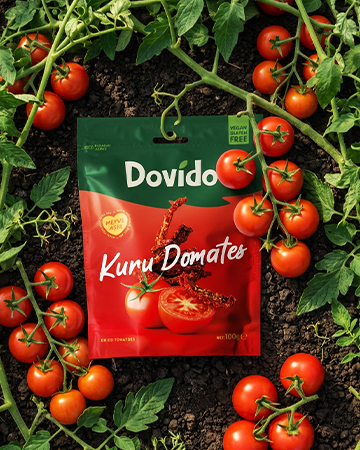 Kuru Üzüm